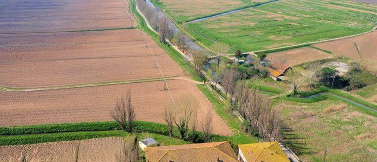 la brilla porta del parco