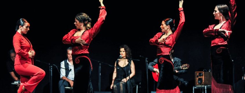 La voz del flamenco