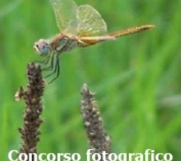 MOSTRA DEL CONCORSO FOTOGRAFICO IN MEMORIA DI ANDREA PIEROTTI