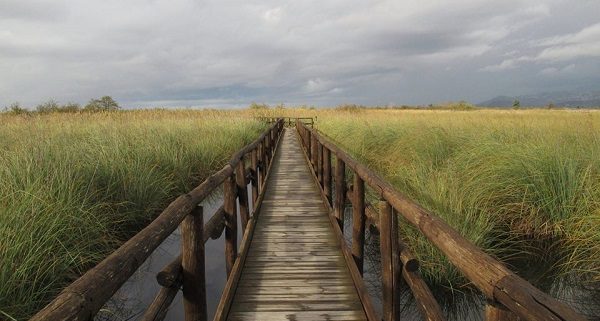 Natura e storia a Massaciuccoli